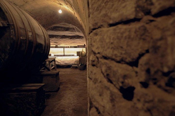 Rioja Wine Route with winery owner