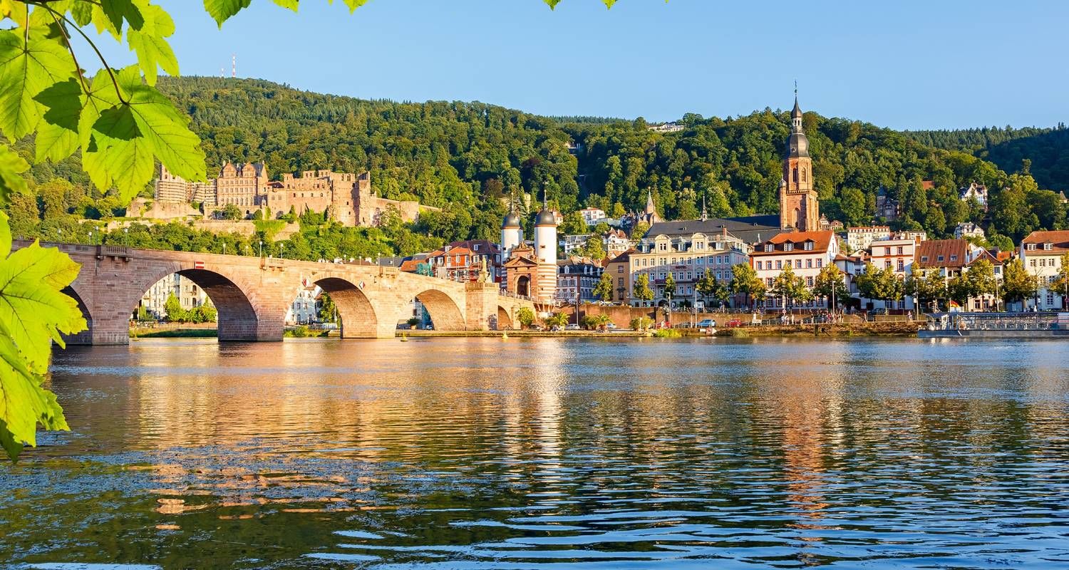 Classic Rhine Cruise (Mainz-Amsterdam) MS Crucevita