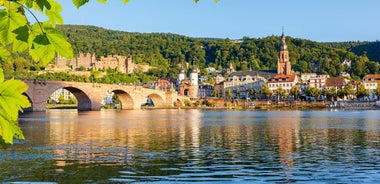 Classic Rhine Cruise (Mainz-Amsterdam) MS Crucevita