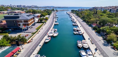 Aerial view from Moda Yogurtcu Park neighborhoods of Kadikoy, a large, populous, and cosmopolitan district in the Asian side of Istanbul, Turkey.