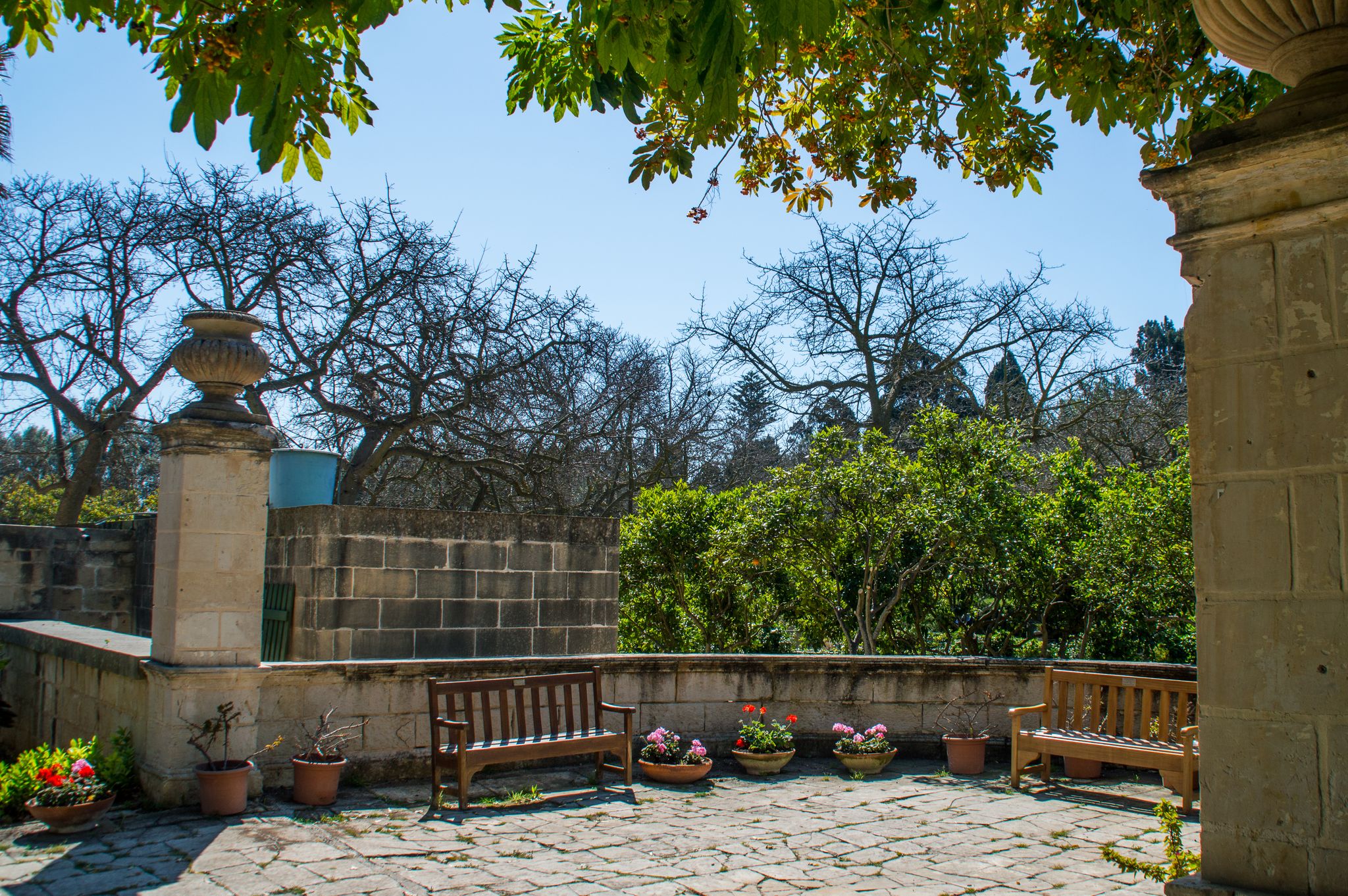 Bench in the shade in the San Anton gardens, Attard, Malta.