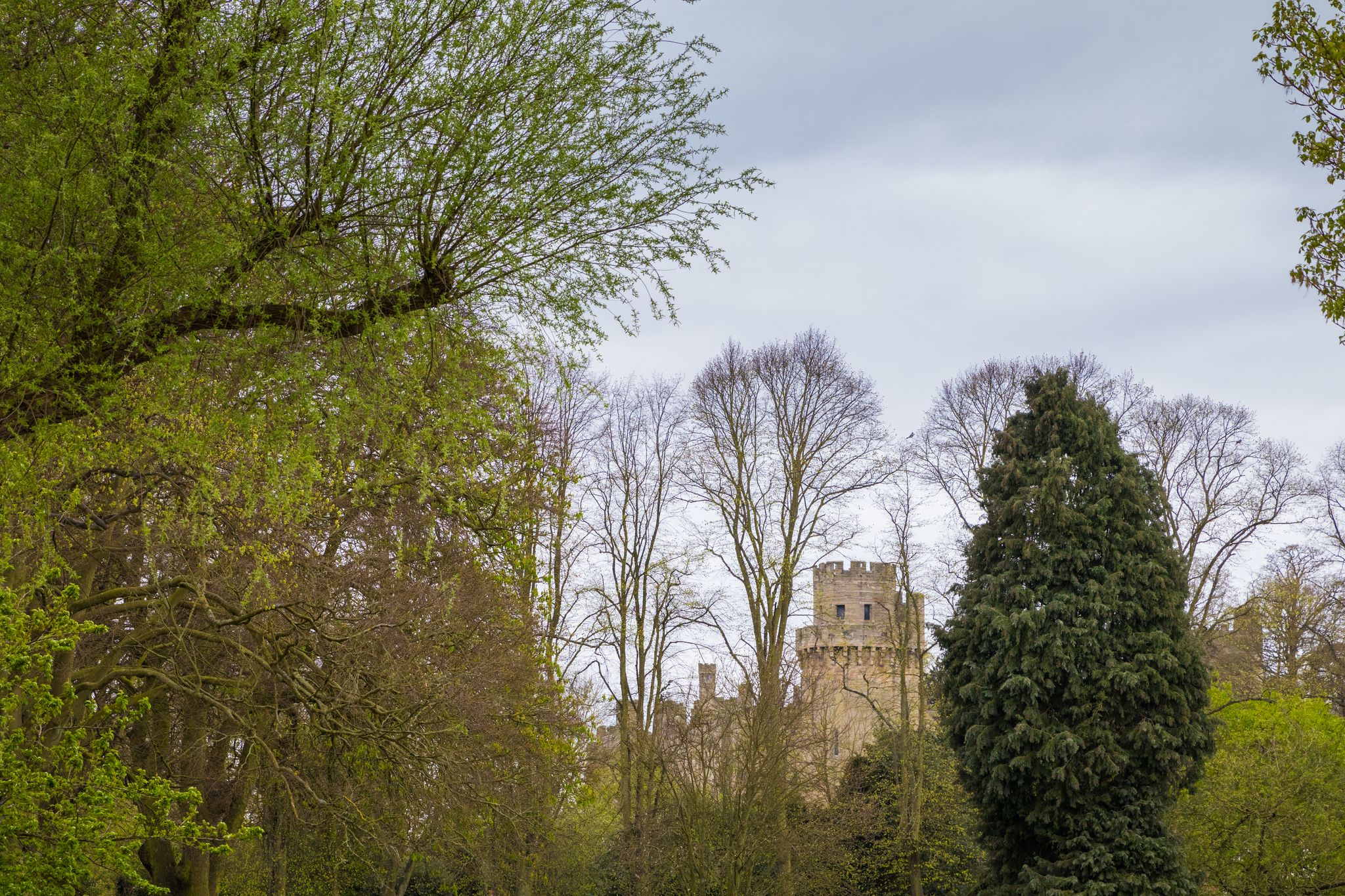 Photo of Caesar's Tower part of the dramatic Warwick Castle fortress, from St Nicholas Park, through trees, Warwick, United Kingdom.