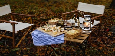 Premium guided Canoe Tour in lake Plateliai Handcrafted inventory and picnic set