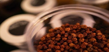 Gin Tasting Masterclass in Aberdeen 