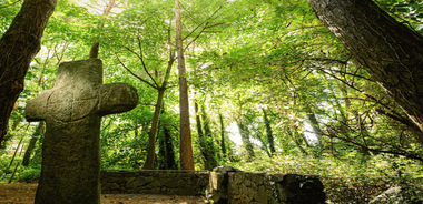 Wexford: Explore an Ancient Woodland with an Irish Witch