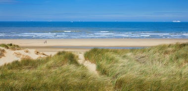 South Holland - state in Netherlands