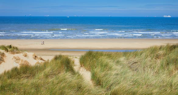 photo of the sand dune area Meijendel near the town of 'Wassenaar'. It belongs to the top 10 parks with the most birds in the Netherlands.