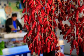 Calabria Festival Experience