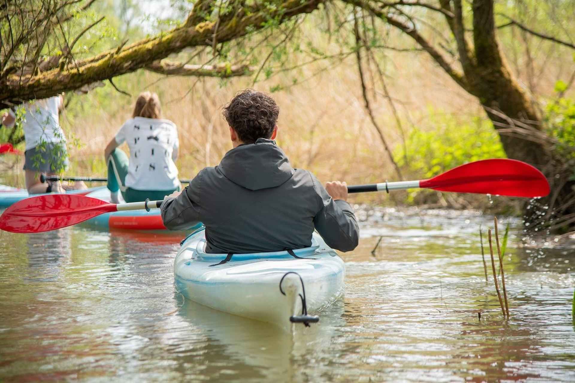 Biesbosch: Kayak Rental with Route Map and Life Jacket
