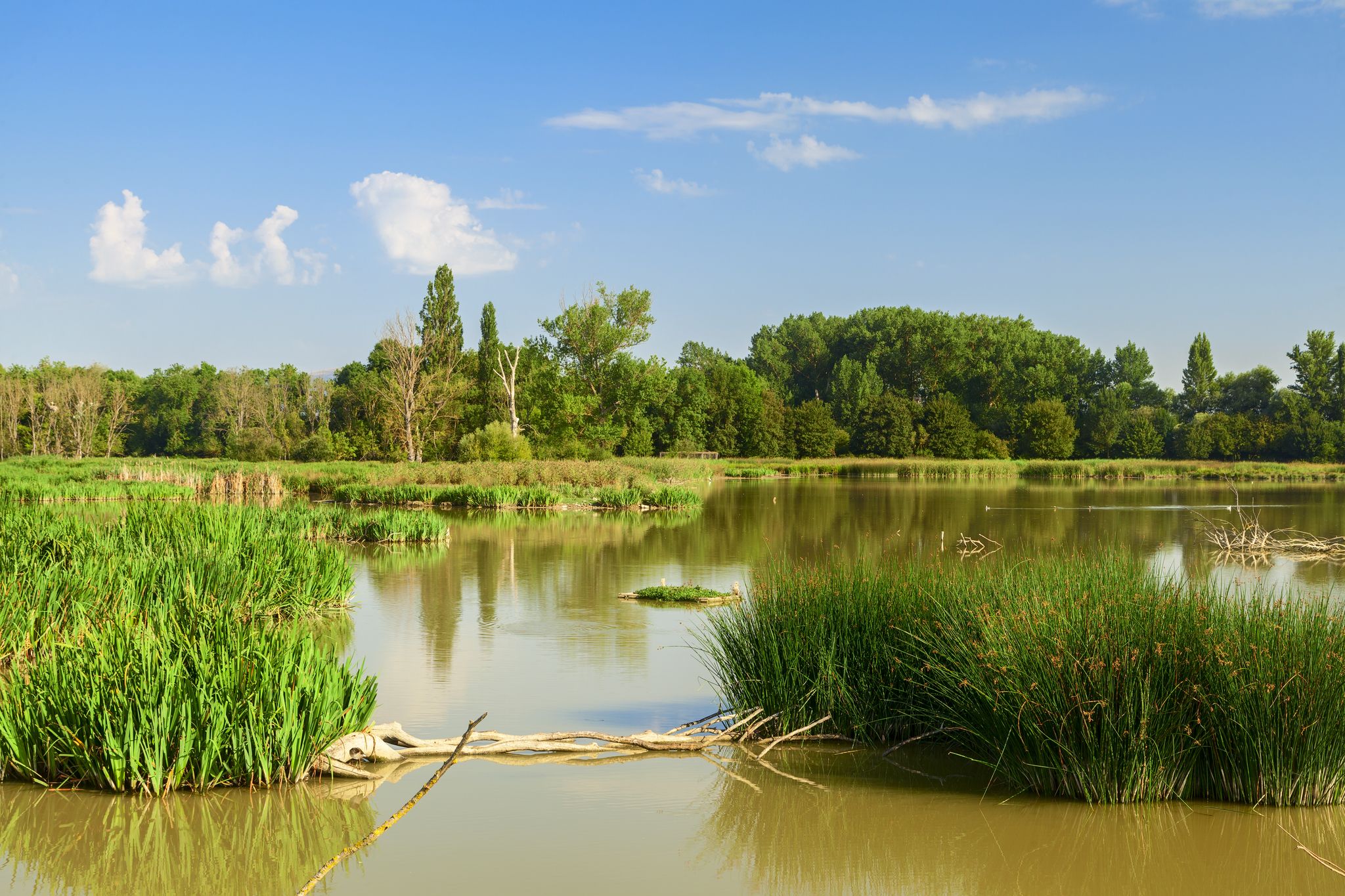 Photo of amazing salburua park view,Elorriaga ,Spain .