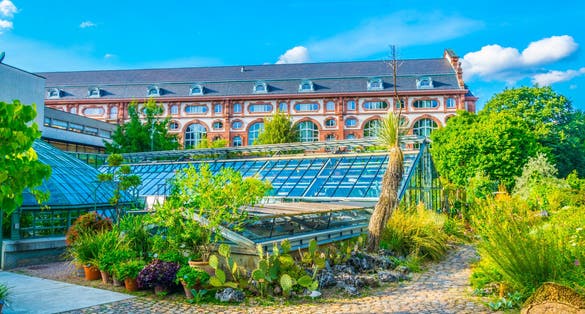 photo of beautiful sunny day at University of Basel Botanical Garden in Basel, Switzerland.