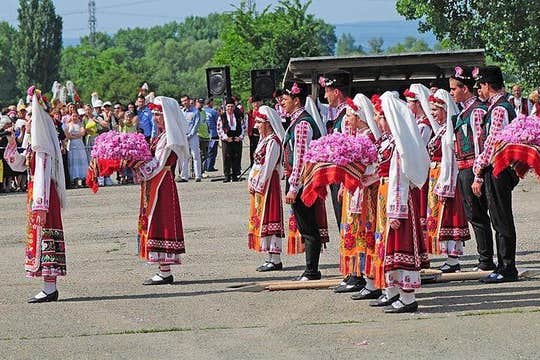 Festival for one day - Rose Festival 2024