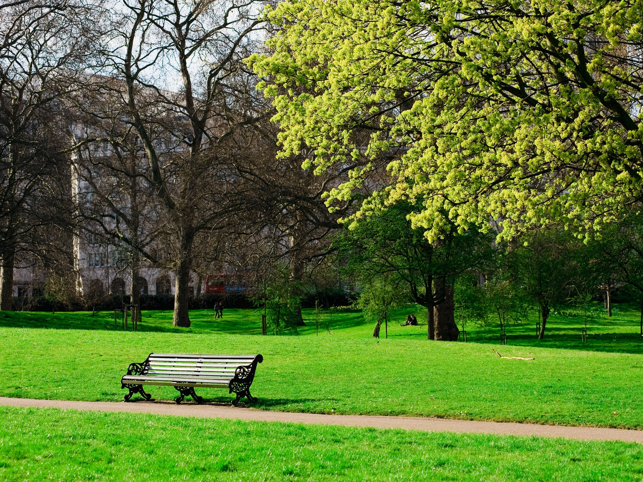 Photo of a bench in Hyde Park of London, UK.