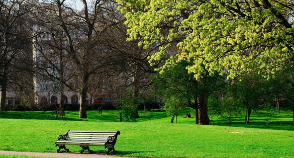 Photo of a bench in Hyde Park of London, UK.