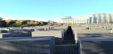  Minivan Driver and Guide (DIN15565) Tailor Made Berlin Highlights