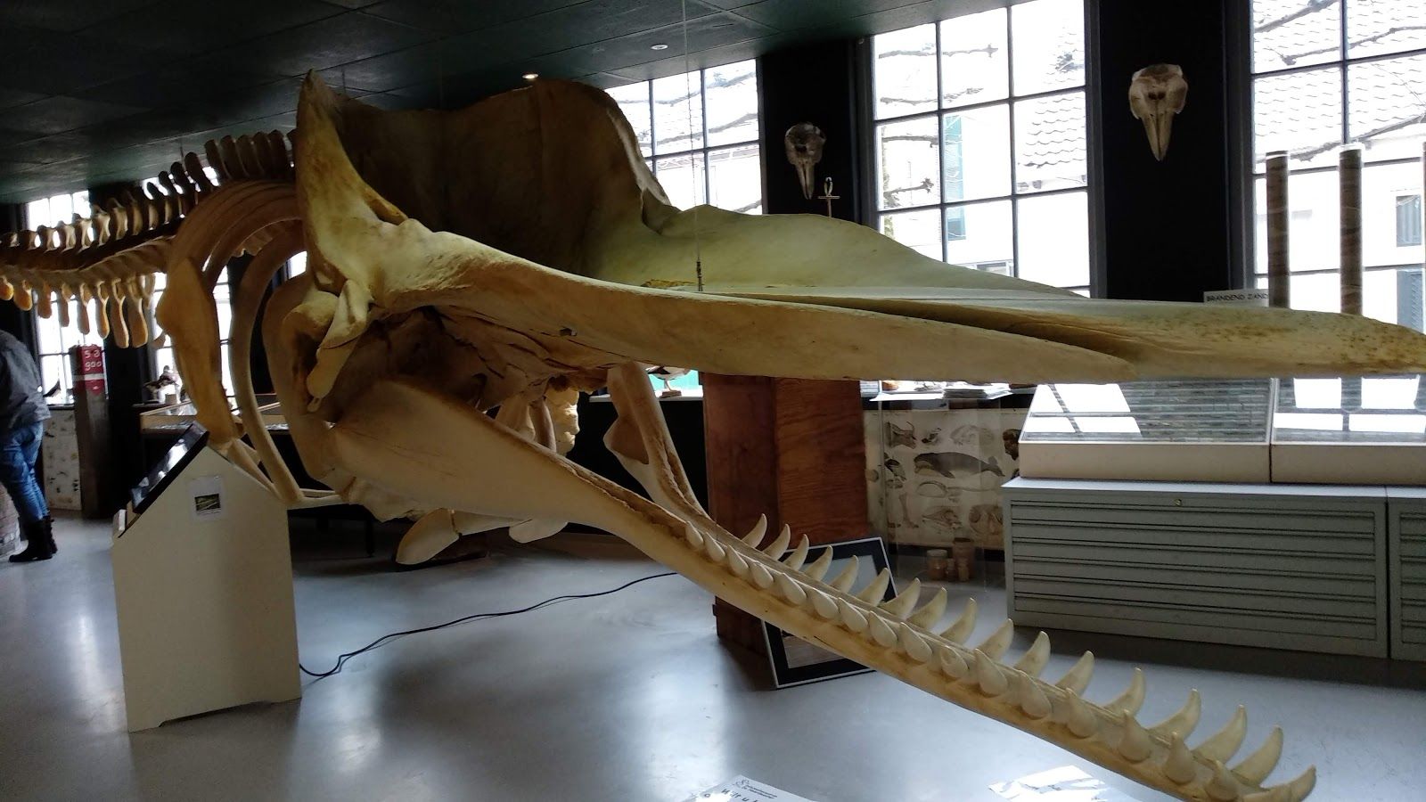 De Noordwester, waddencentrum en zeeaquarium, Vlieland, Friesland, Netherlands