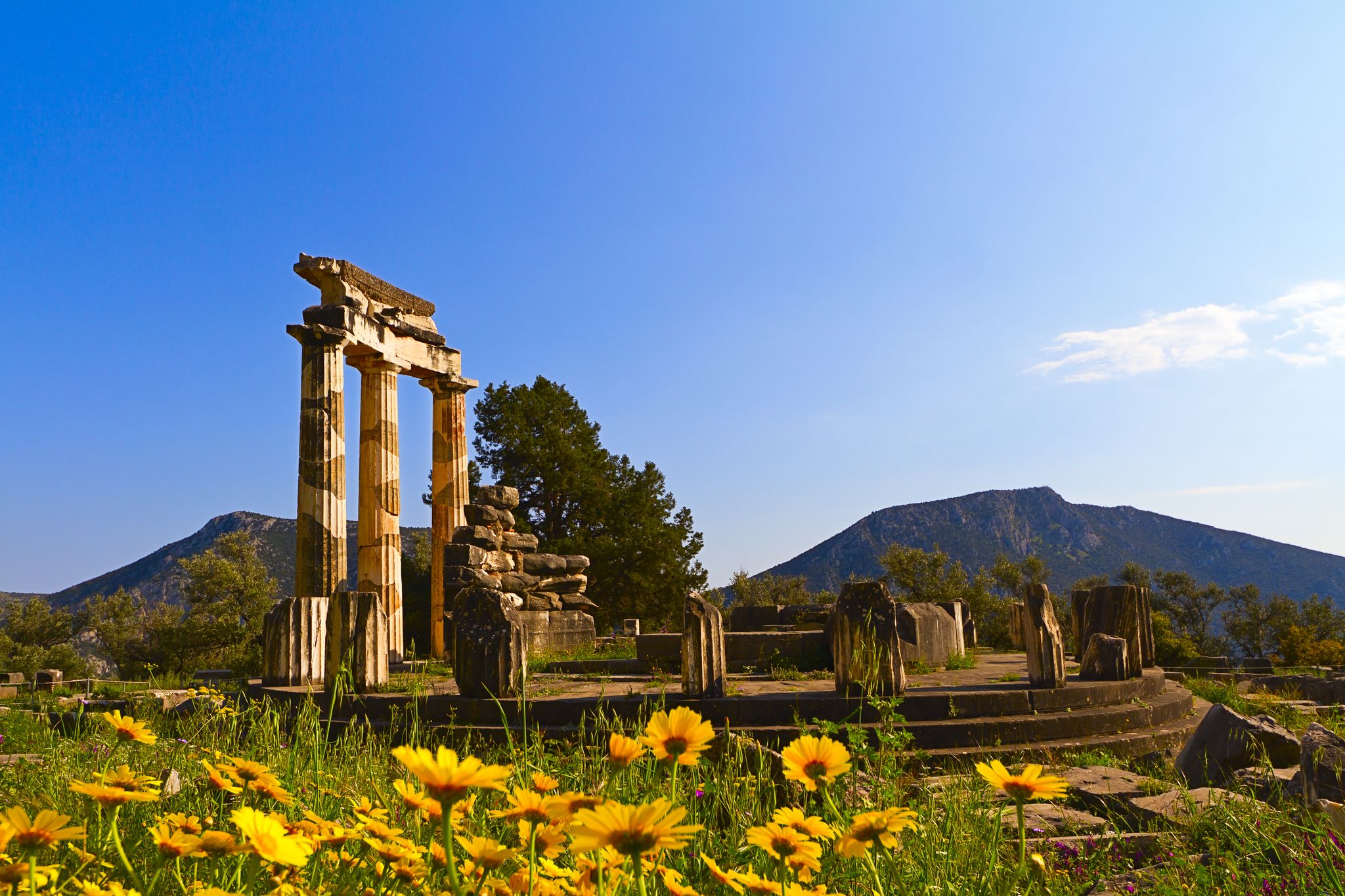 photo of Delphi,Greece,Delphi  Greece.
