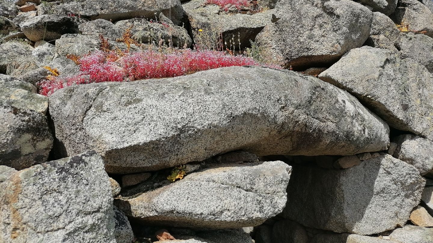 Parco archeologico di Scerì, Irvonu/Ilbono, Nuoro, Sardinia, Italy