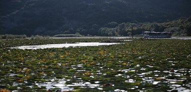 Great Montenegro Tour-Lovcen NP,Mausoleum Lovcen,River of Crnojevic,Sveti Stefan