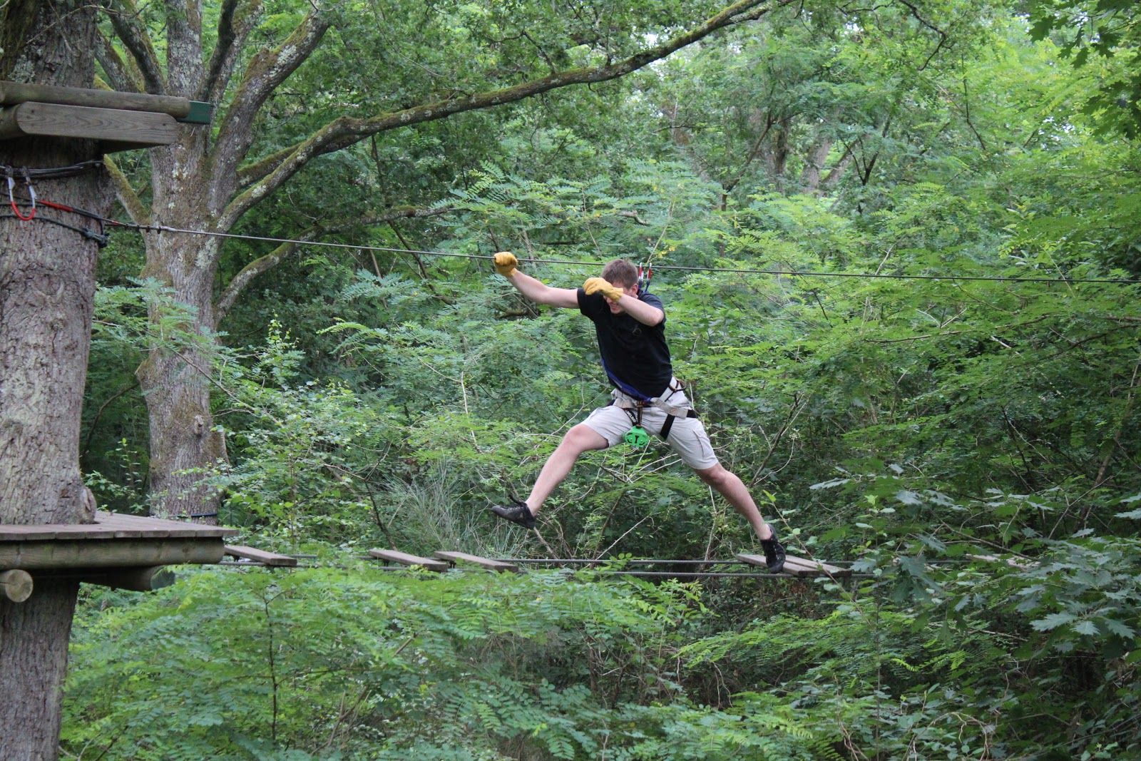 Aventure Parc, Nançay, Vierzon, Cher, Centre-Loire Valley, Metropolitan France, France