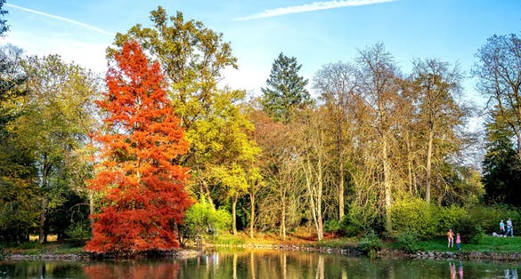 photo of view of Park Schönbusch, Aschaffenburg, Bavaria, Germany.