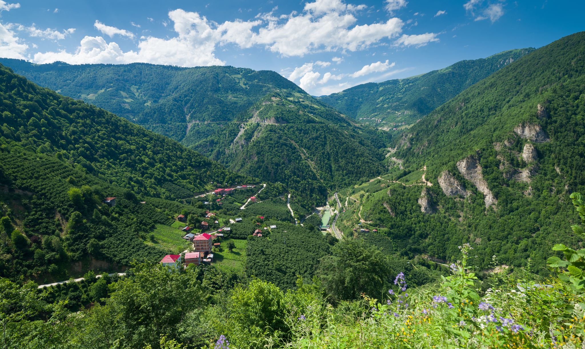 Photo of aerial view of Giresun Kuzalan Nature Park. Aksu river and beautiful Black Sea vegetation. Dereli, Giresun, Turkey.