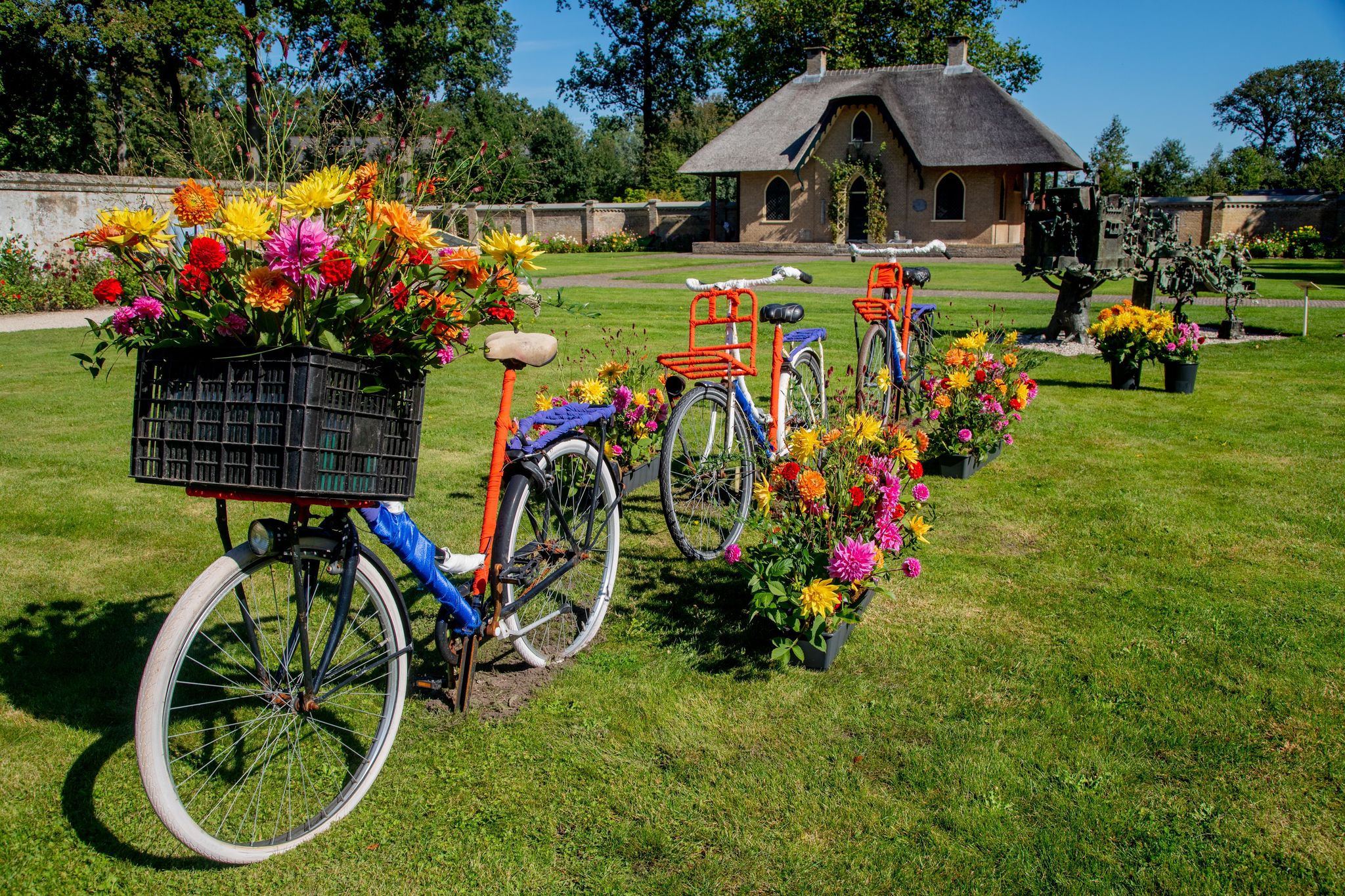 photo of cheerful colors of old bicycles on the lawn in keukenhof castle garden in Lisse, the Netherlands.