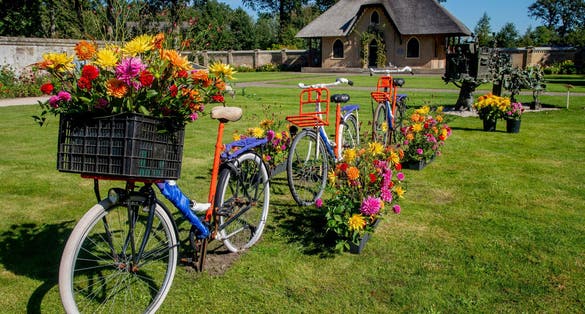 photo of cheerful colors of old bicycles on the lawn in keukenhof castle garden in Lisse, the Netherlands.
