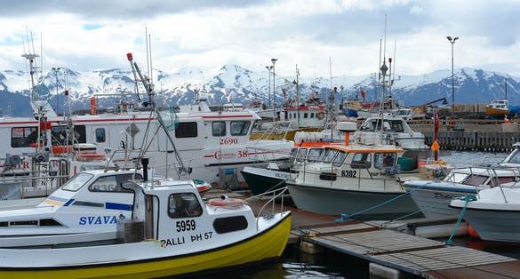 Húsavík harbour