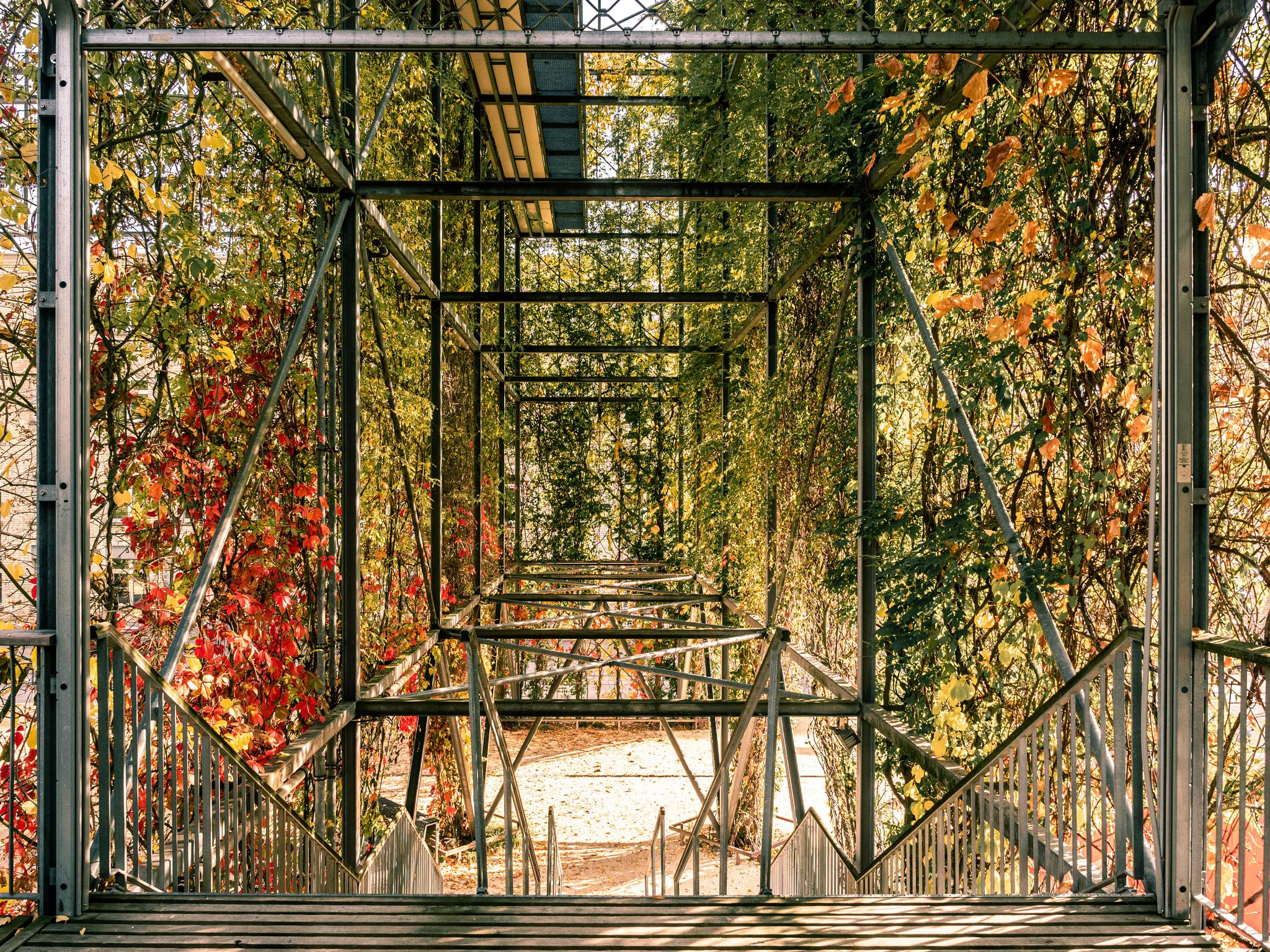 photo of Autumn vegetation at MFO Park in Oerlikon in Zurich, Switzerland.