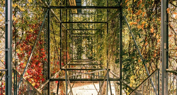 photo of Autumn vegetation at MFO Park in Oerlikon in Zurich, Switzerland.