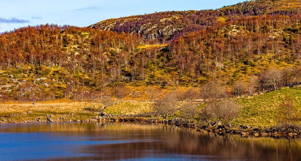 Landscape around Dalsnuten in Rogaland, Norway.