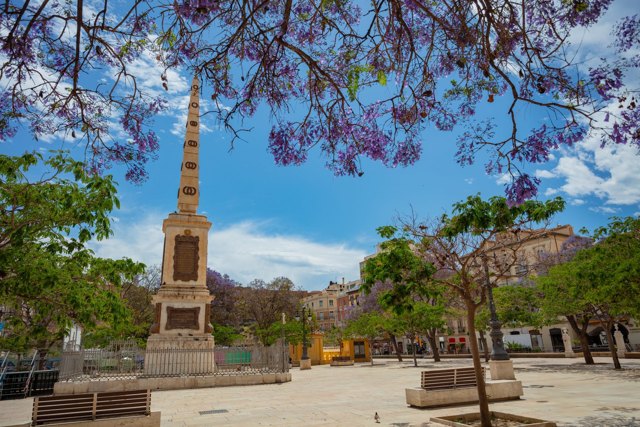 Photo of Plaza de la Merced public square located in the in central Malaga, Spain and Torrijos monument with purple flowers tree .