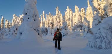 A winter dream in Swedish Lapland