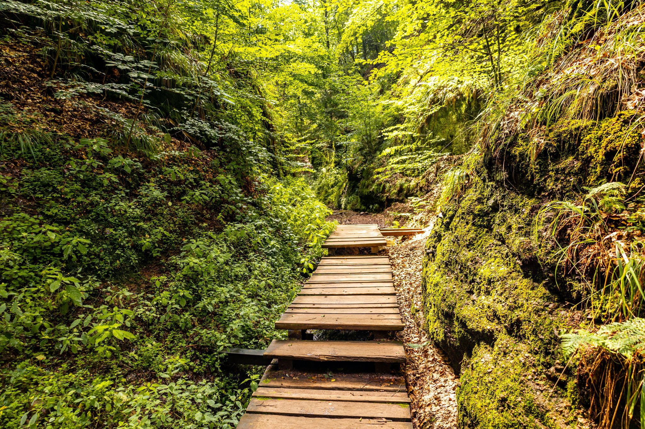 photo of view of Lutherhouse in Eisenach, Thueringen, Germany.     
