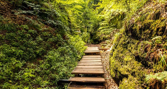photo of view of Lutherhouse in Eisenach, Thueringen, Germany.     