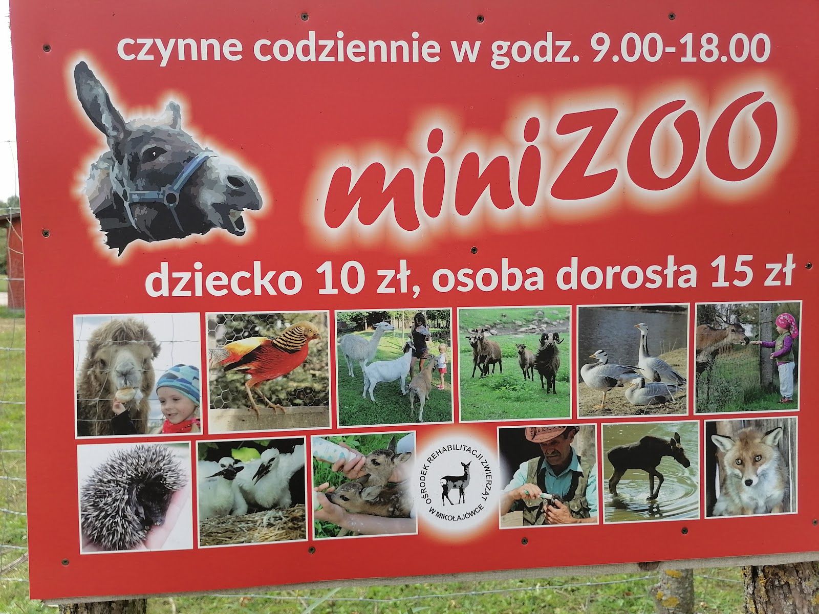 Podlaskie MiniZoo, Mikołajówka, gmina Szypliszki, Suwałki County, Podlaskie Voivodeship, Poland