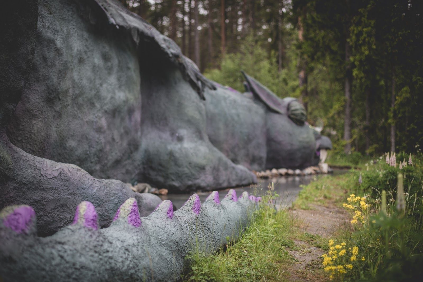 Trolska Skogen, Nordanstigs kommun, Gävleborg County, Sweden