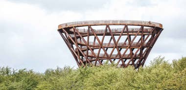 Copenhagen: The Forest Tower & Forgotten Giants Trolls Trip