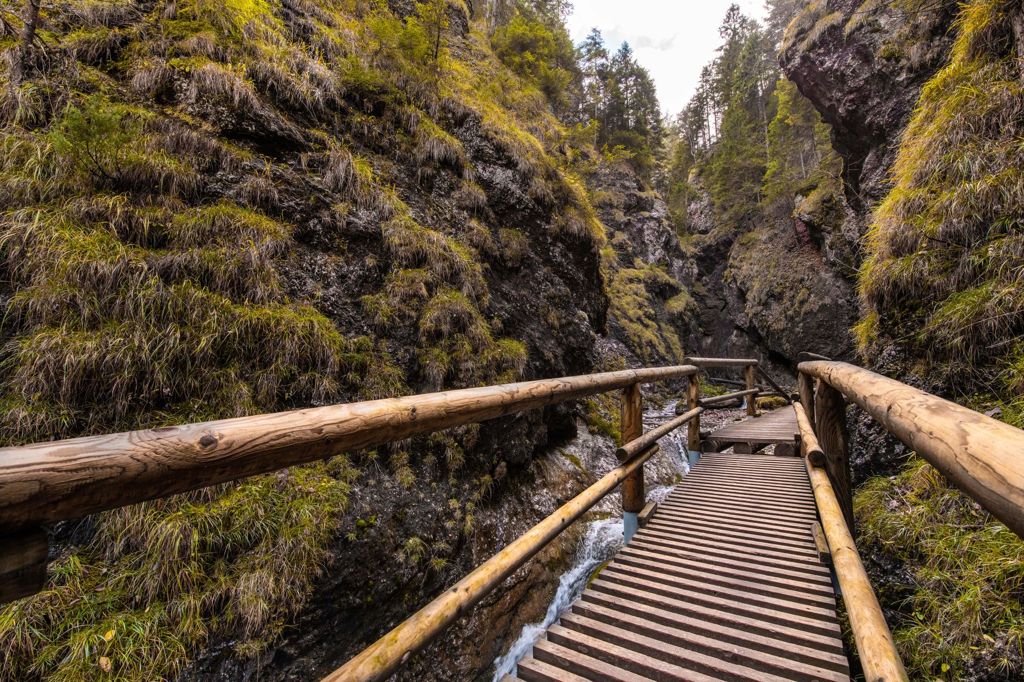 Hiking trails in National Park Mala Fatra, Slovakia, Orava