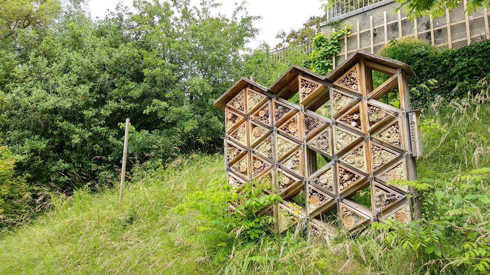 Lausanne Botanical Garden, Lausanne, District de Lausanne, Vaud, Switzerland