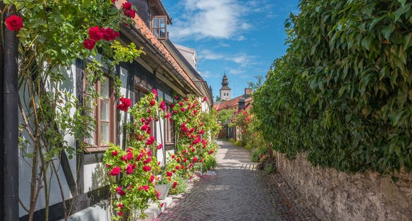 Medieval alley in the historic Hanse town Visby during summer in Sweden.