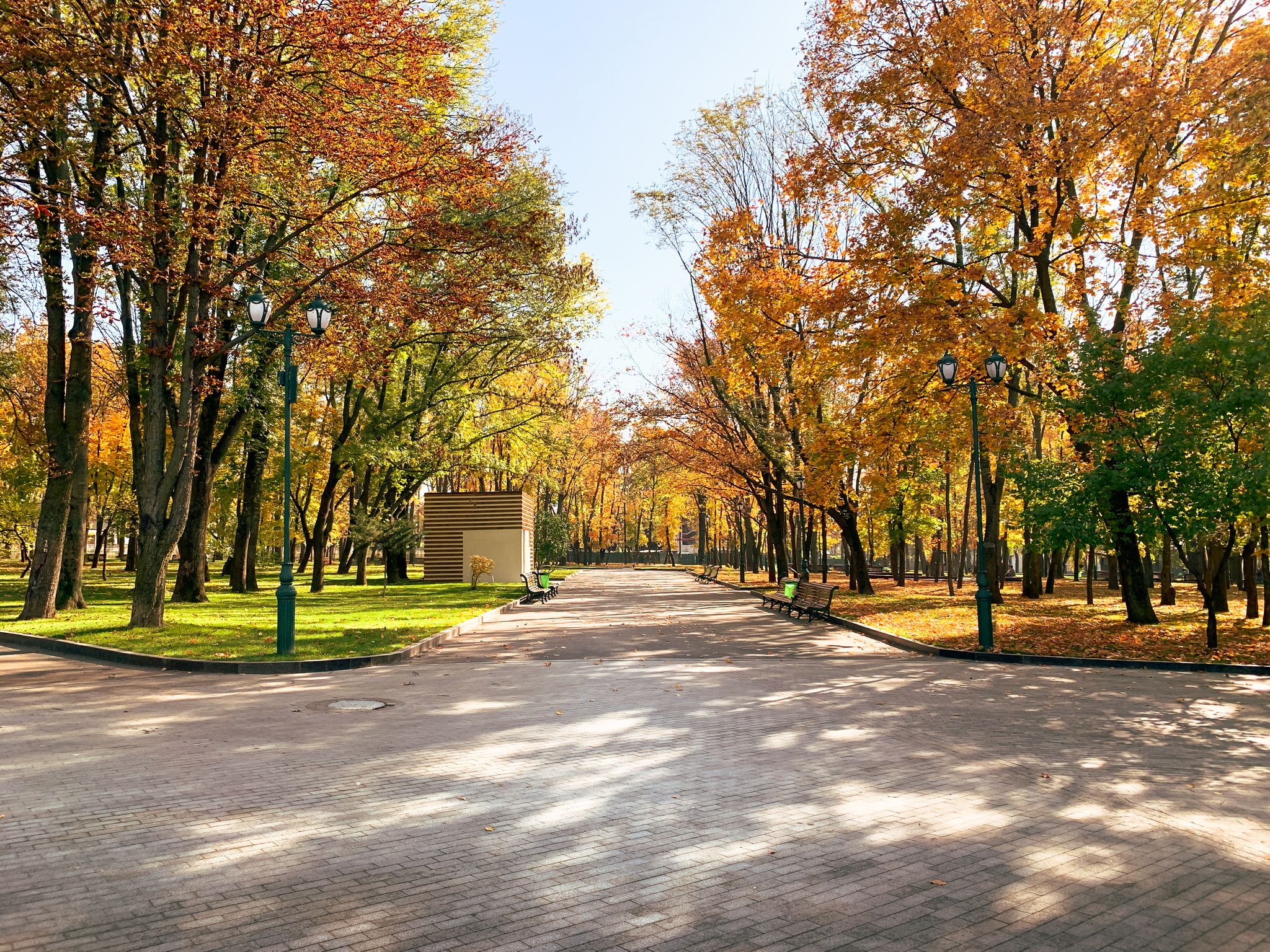 Photo of Shevchenko Kharkiv City park with fallen golden foliage in autumn in sunny weather, Ukraine.