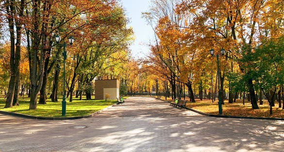 Photo of Shevchenko Kharkiv City park with fallen golden foliage in autumn in sunny weather, Ukraine.