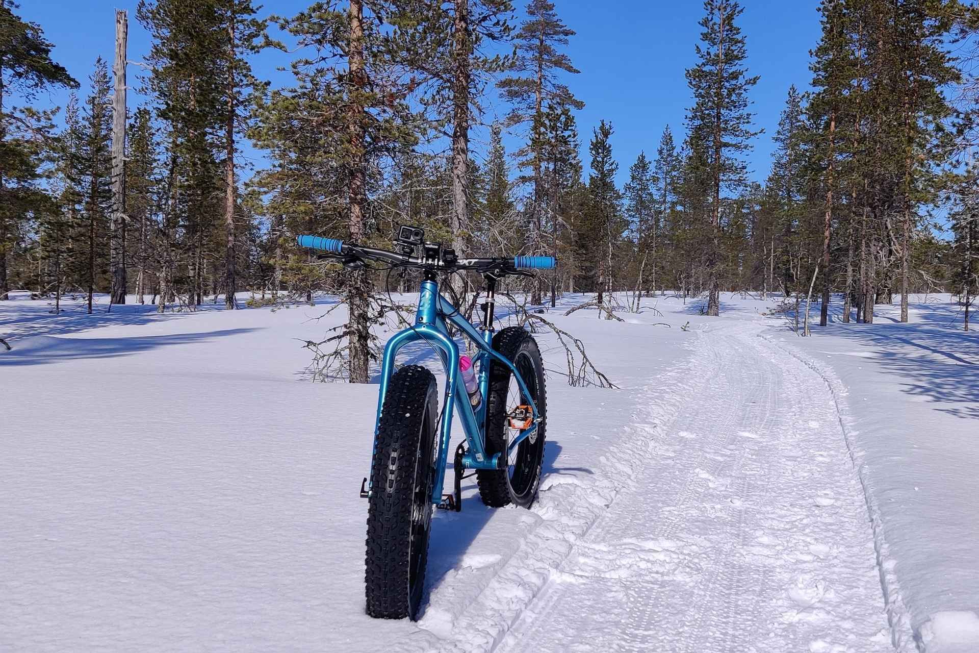 Saariselkä: Guided Fatbike Tour
