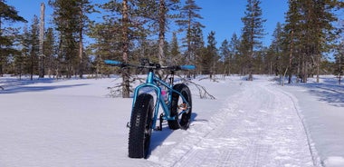 Saariselkä: Guided Fatbike Tour