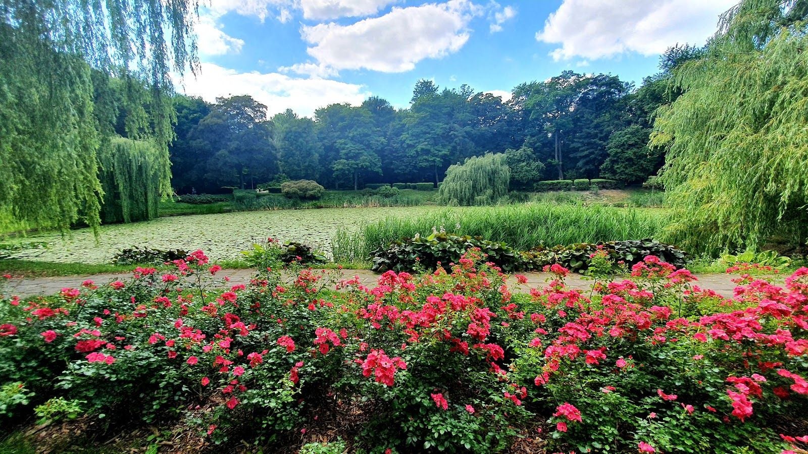 Park of Roses, Centrum, Chorzów, Górnośląsko-Zagłębiowska Metropolia, Silesian Voivodeship, Poland