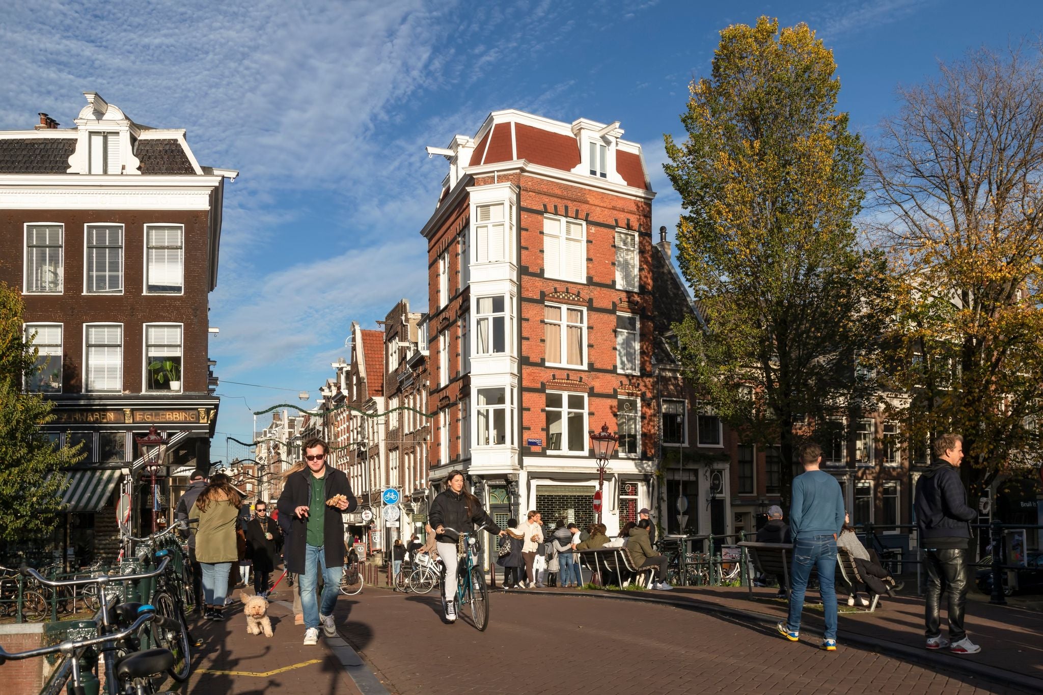 Crowds in Netherlands.jpg