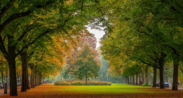 Beautiful autumn scene in Rotterdam city park, Netherlands. Landscape