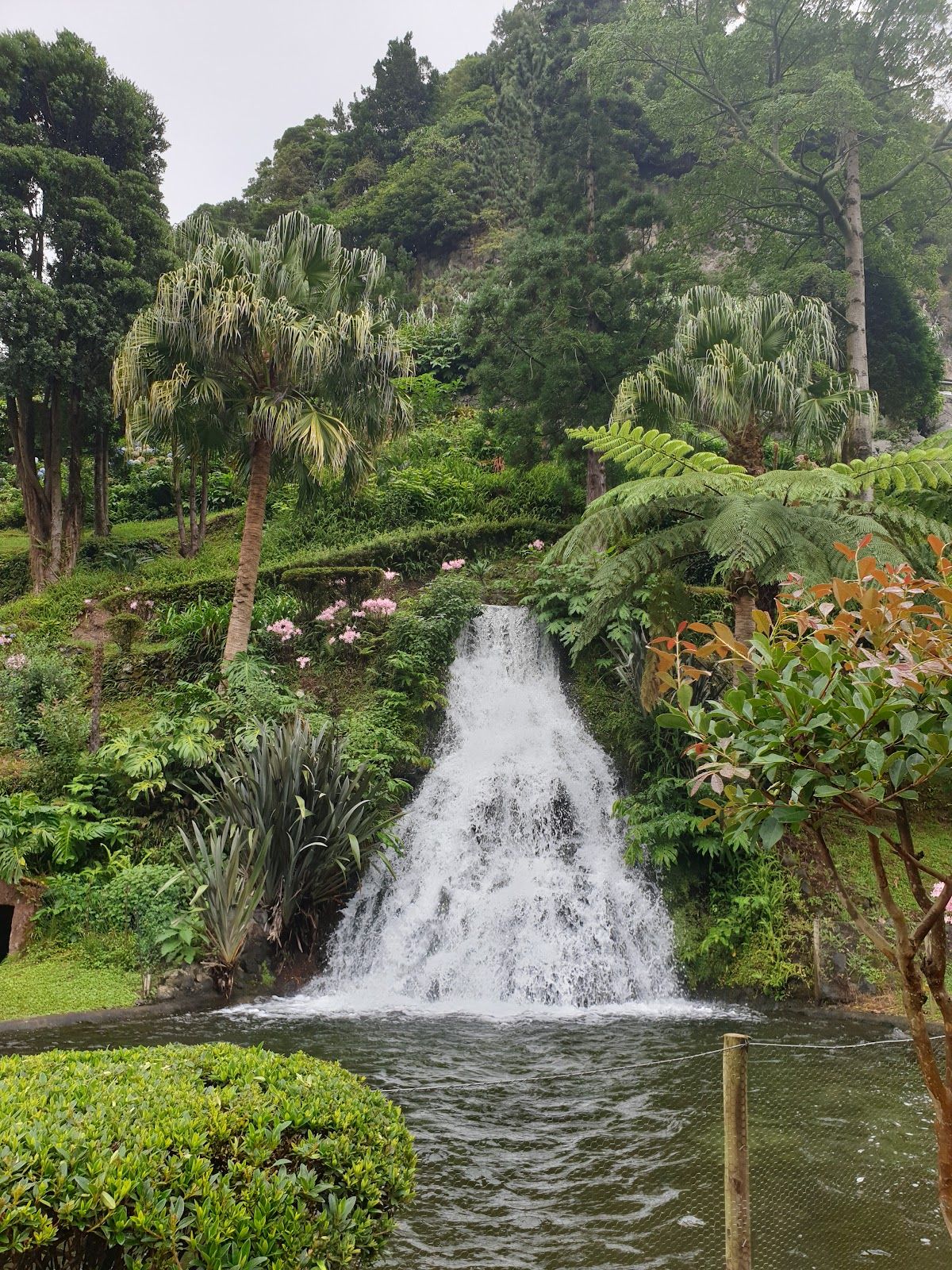 Botanical Garden of Ribeira do Guilherme, Nordeste, São Miguel, Azores, Portugal